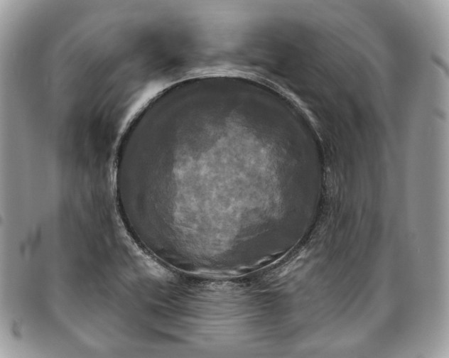 X0000095111416200712211310