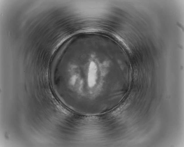 X0000095111417200712211311