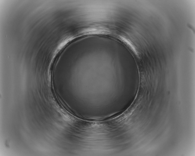 X0000095111419200712211311