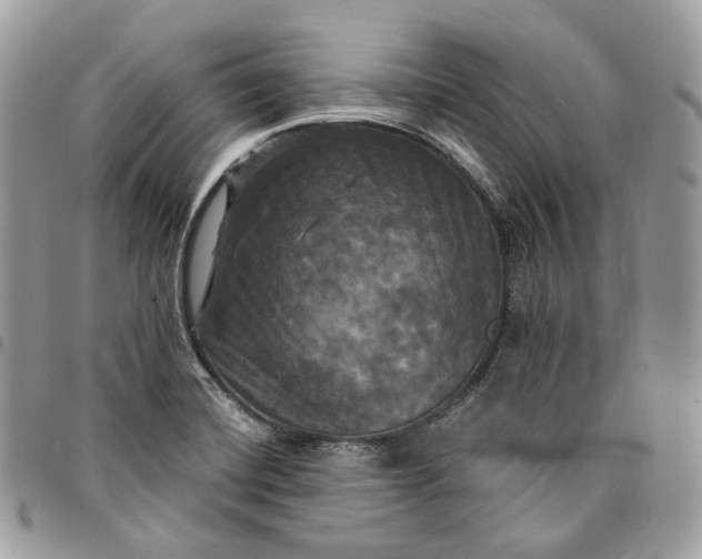 X0000095111420200712211311