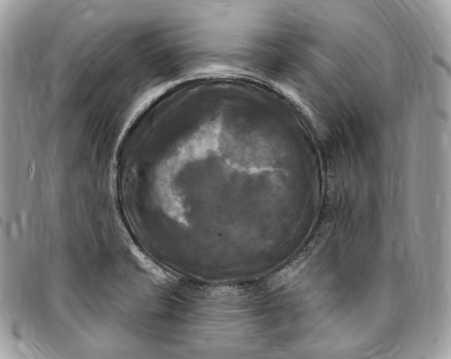 X0000095111421200712211311