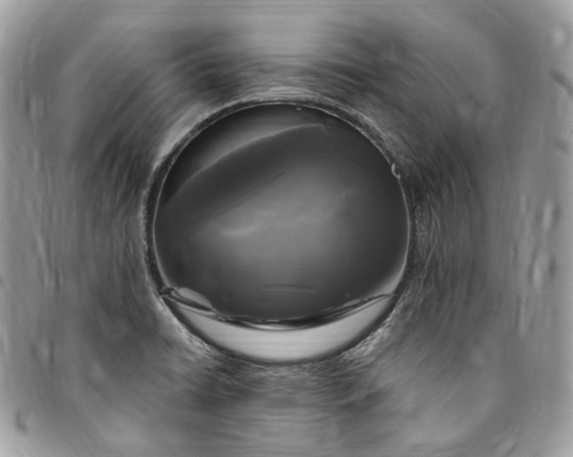 X0000095111422200712211311