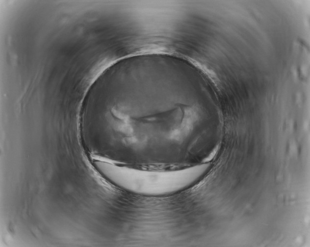 X0000095111423200712211311