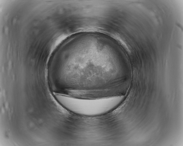 X0000095111424200712211311