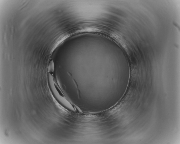 X0000095111425200712211311