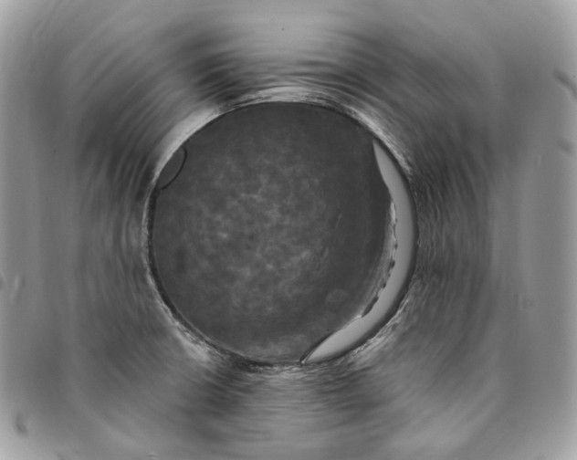 X0000095111426200712211311