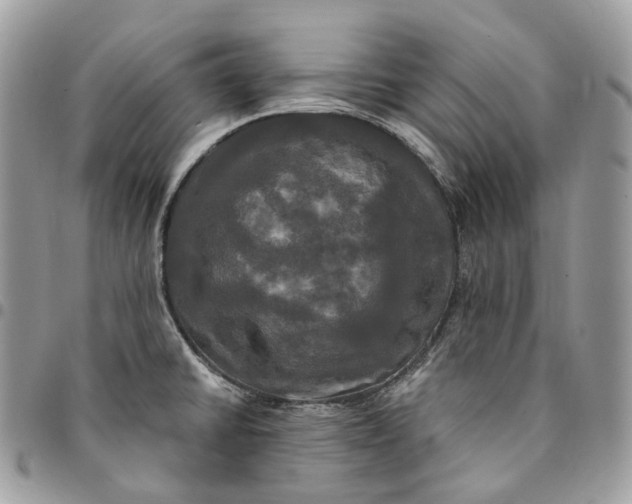 X0000095111430200712211311