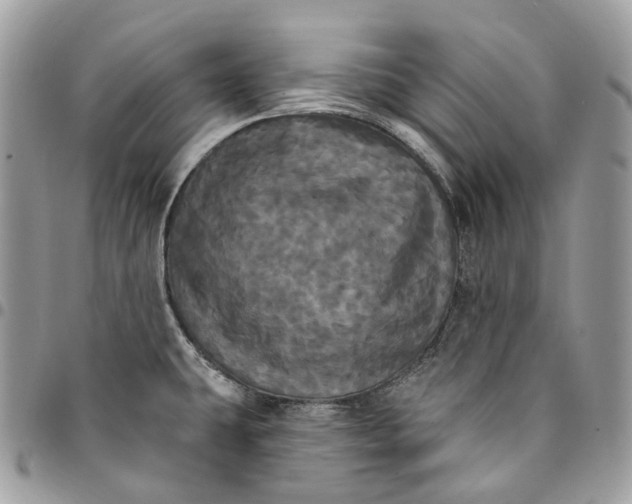 X0000095111431200712211311