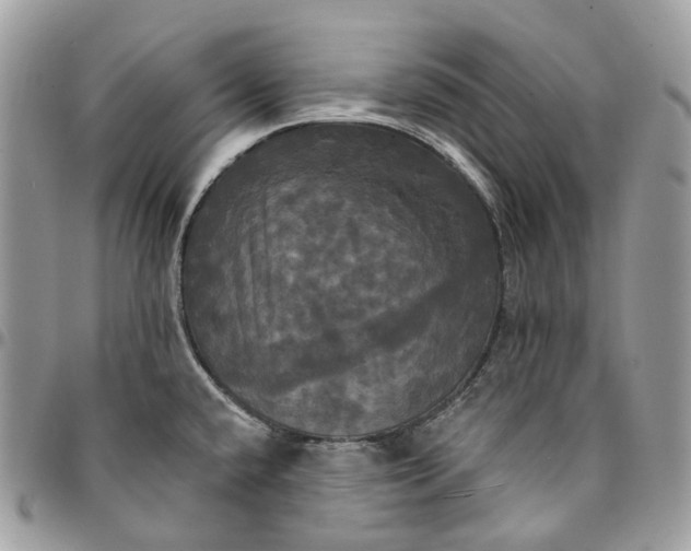 X0000095111432200712211311