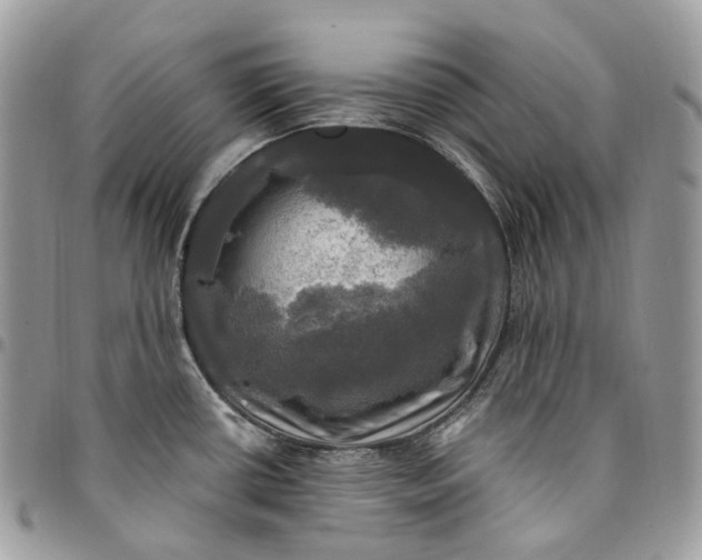 X0000095111434200712211311