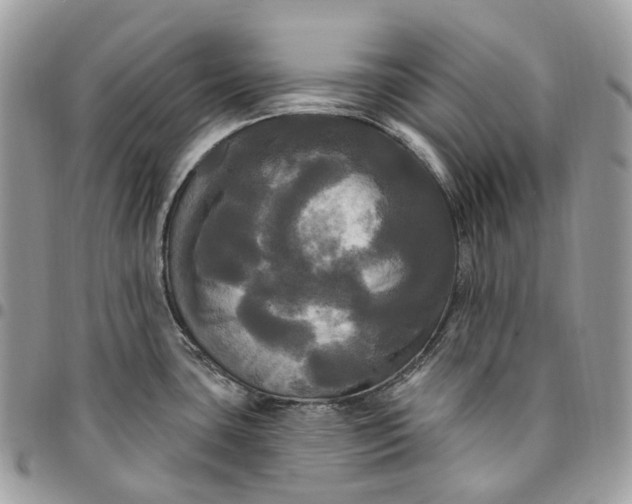 X0000095111435200712211311