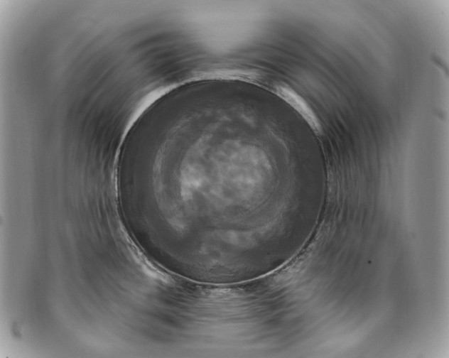 X0000095111436200712211311