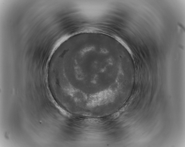 X0000095111437200712211311