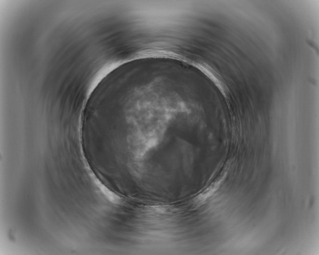 X0000095111438200712211311