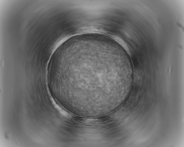 X0000095111439200712211311