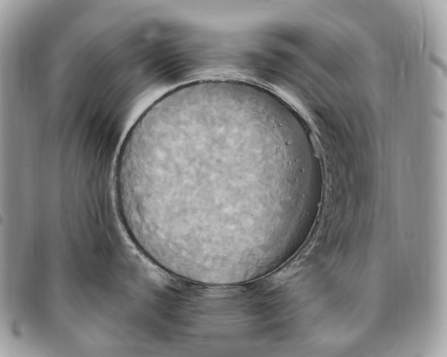 X0000095111440200712211311