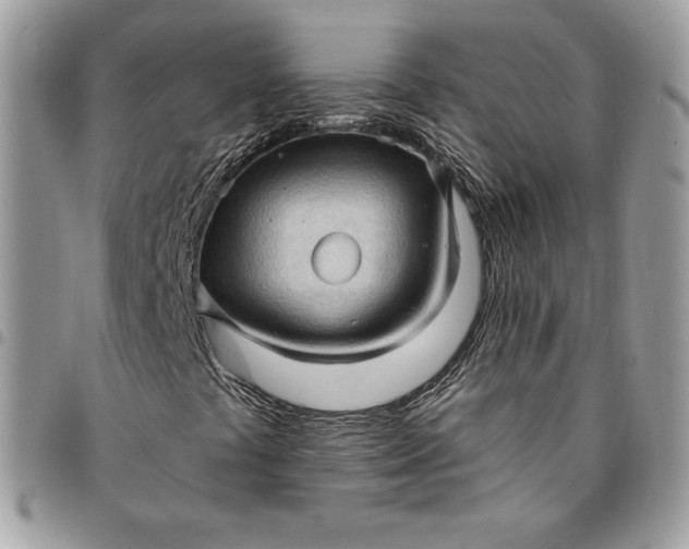 X0000095111441200712211310