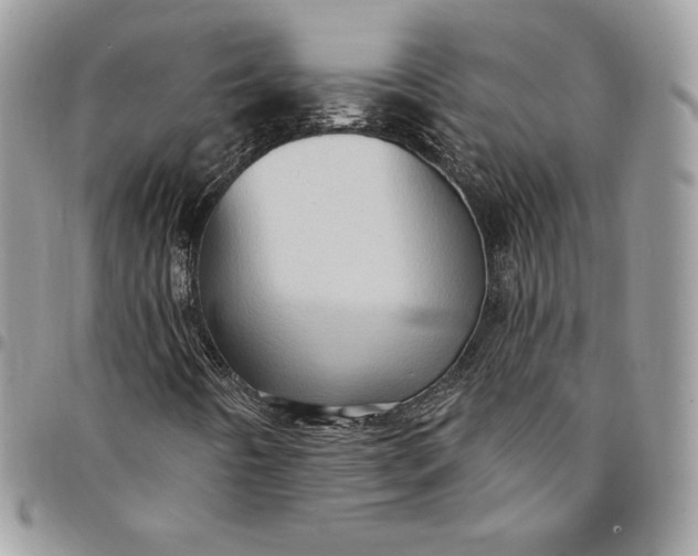 X0000095111442200712211310