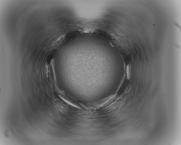 X0000095111443200712211310