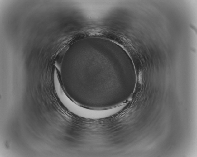 X0000095111444200712211310