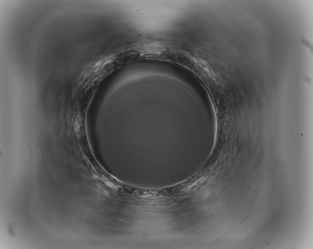 X0000095111445200712211310