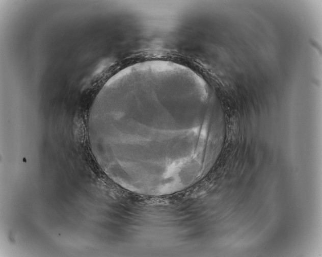 X0000095111446200712211310