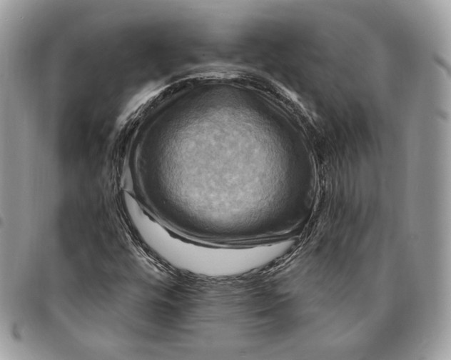 X0000095111448200712211310