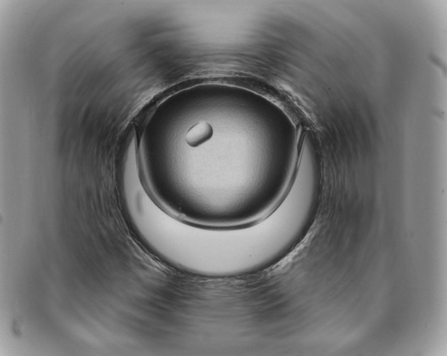 X0000095111449200712211310