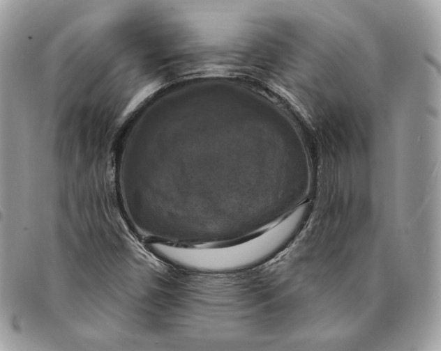 X0000095111450200712211310