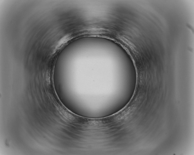 X0000095111451200712211310