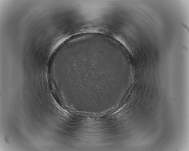 X0000095111452200712211310