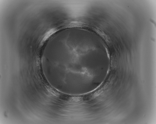 X0000095111453200712211310