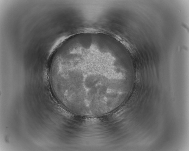 X0000095111454200712211310