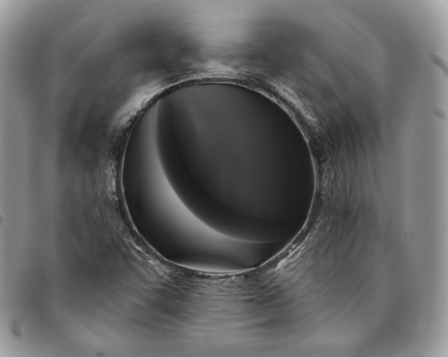 X0000095111455200712211310