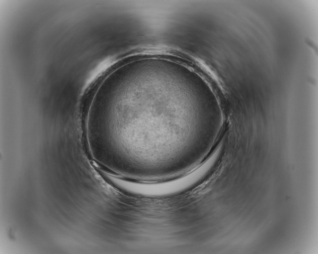 X0000095111456200712211310