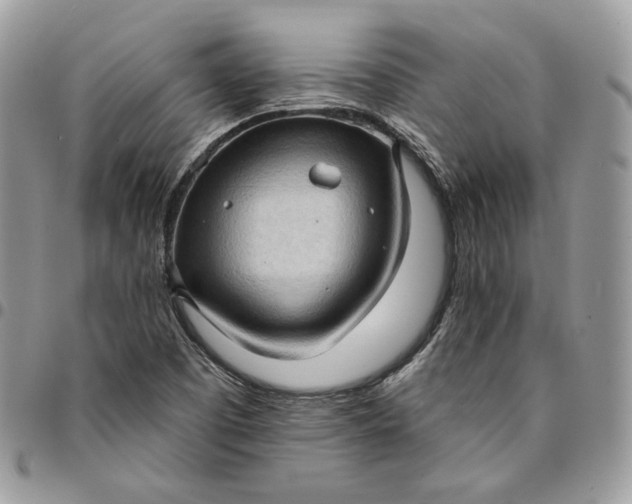 X0000095111457200712211310