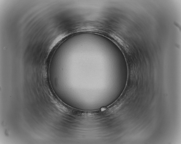 X0000095111458200712211310