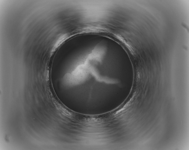 X0000095111459200712211310