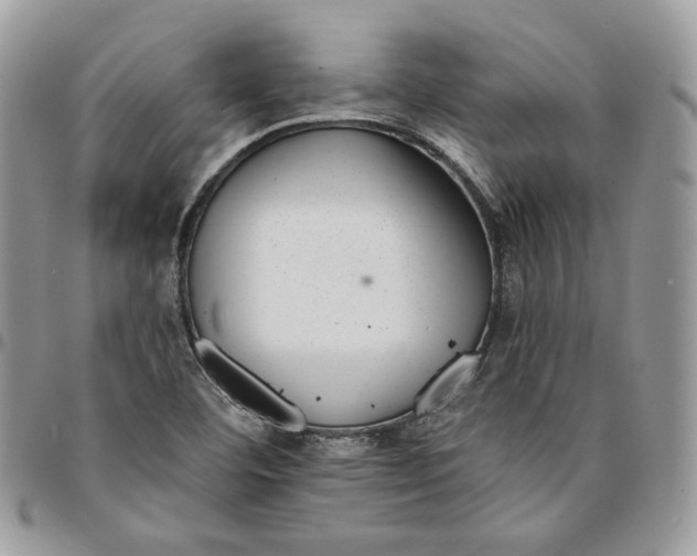 X0000095111460200712211310