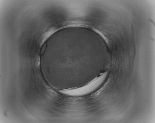 X0000095111461200712211310