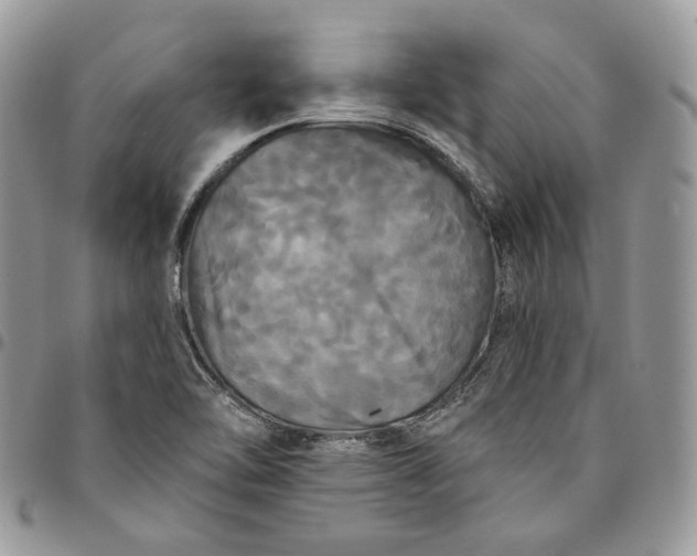 X0000095111462200712211310