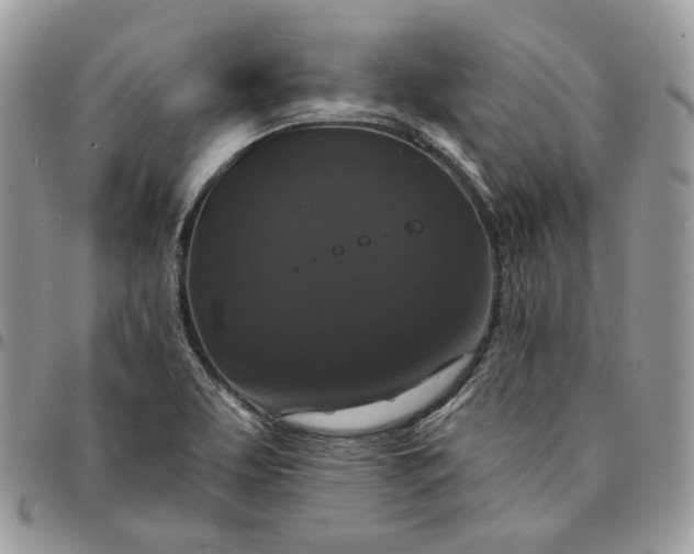 X0000095111463200712211310