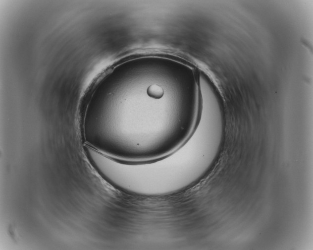 X0000095111464200712211310