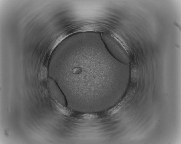 X0000095111465200712211310