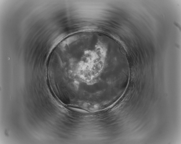 X0000095111467200712211310