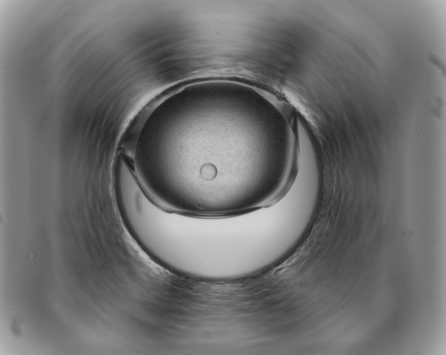 X0000095111468200712211310