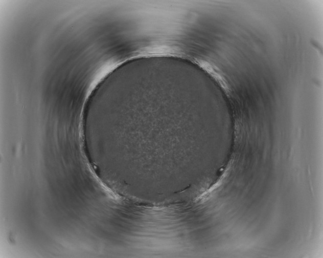 X0000095111469200712211310