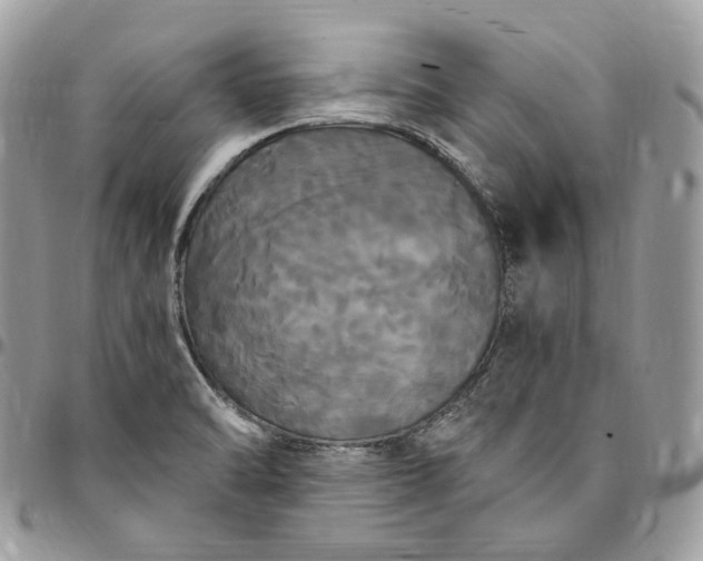 X0000095111470200712211310