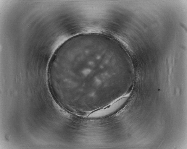 X0000095111471200712211310