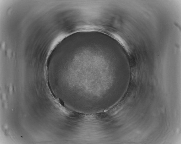 X0000095111472200712211310